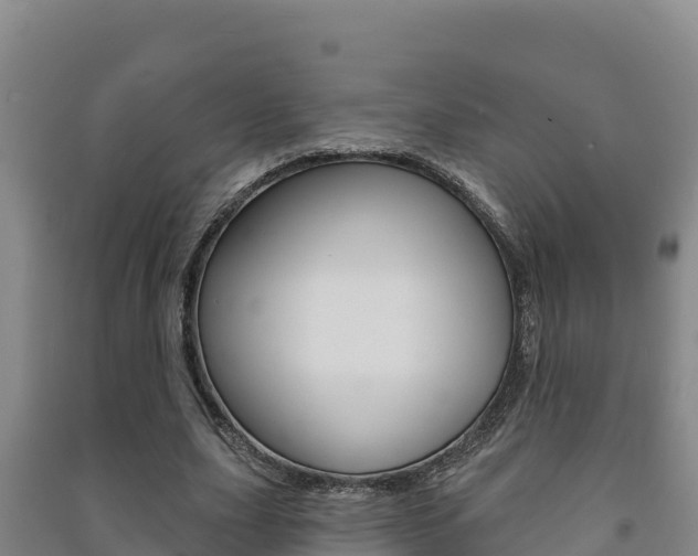 X0000091470631200708161128
