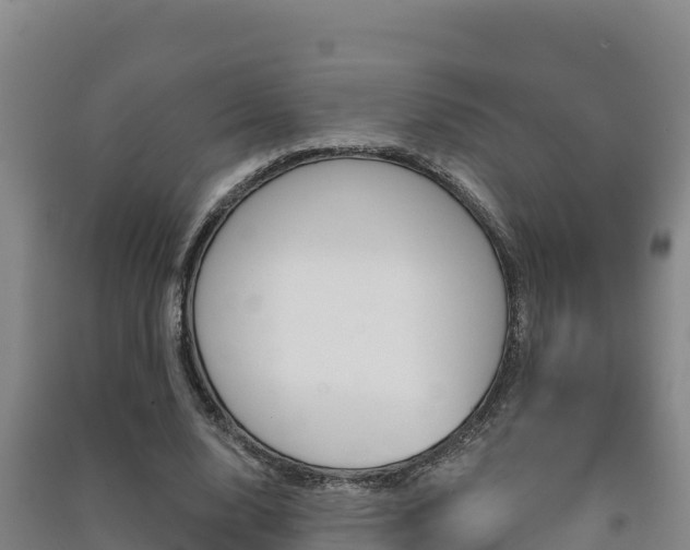 X0000091470632200708161128