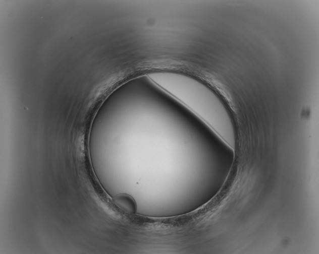 X0000091470633200708161128