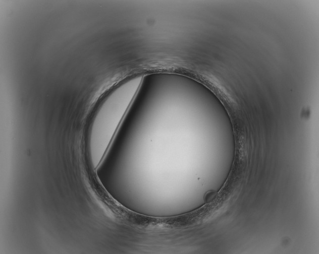 X0000091470634200708161128