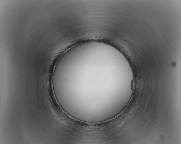 X0000091470635200708161128