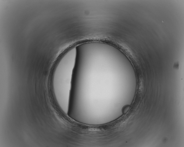 X0000091470636200708161128