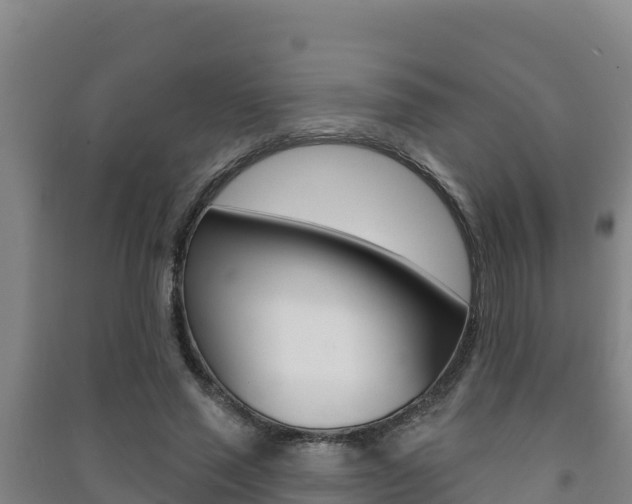 X0000091470637200708161128