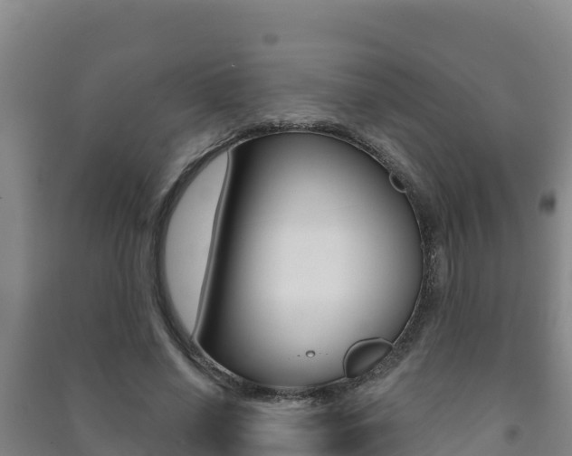 X0000091470638200708161128