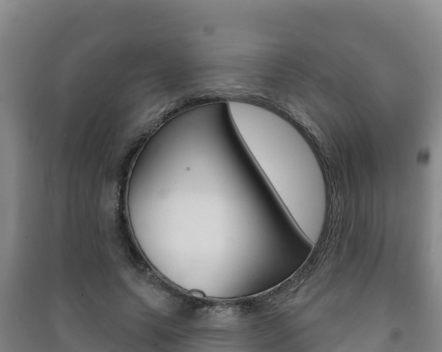 X0000091470639200708161129