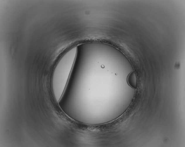 X0000091470640200708161129