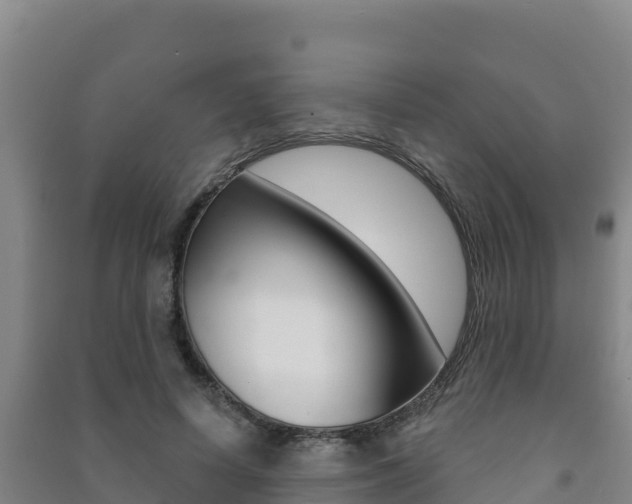 X0000091470642200708161129