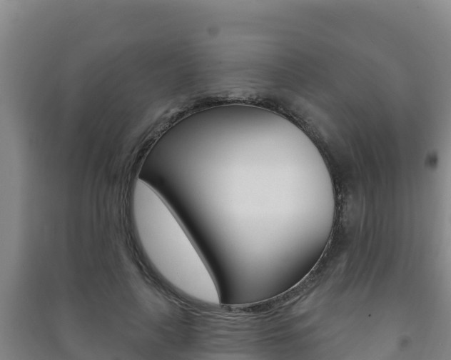 X0000091470643200708161129