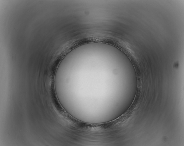 X0000091470645200708161129