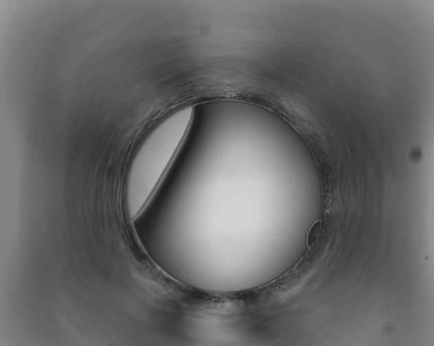 X0000091470646200708161129