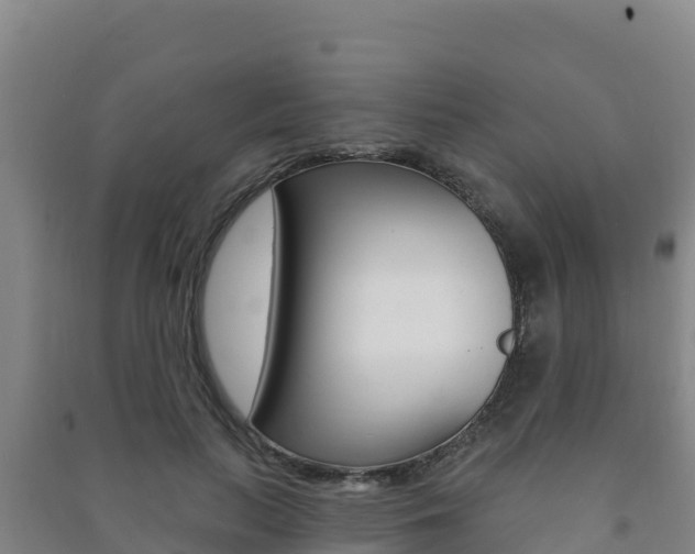 X0000091470647200708161129