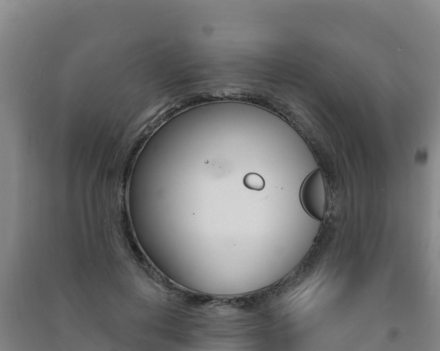 X0000091470648200708161129