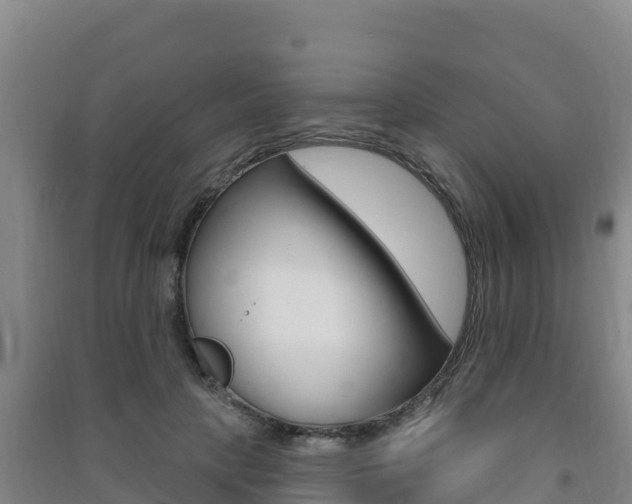X0000091470649200708161129