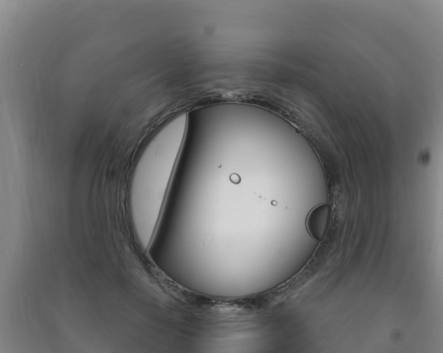 X0000091470650200708161129