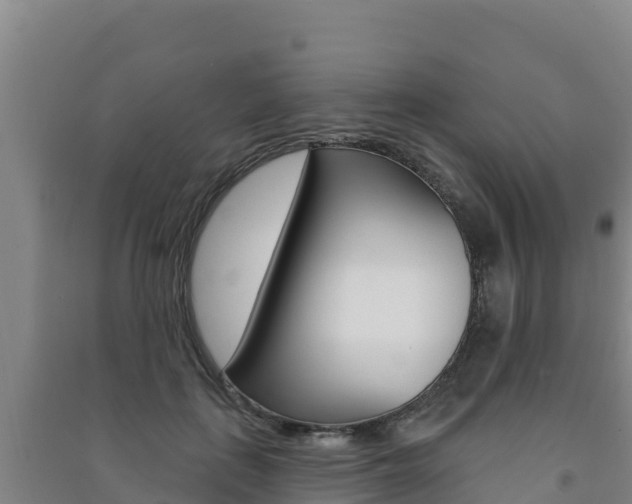 X0000091470651200708161129