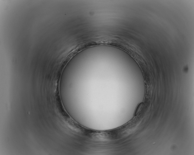 X0000091470652200708161129
