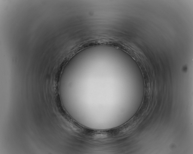 X0000091470653200708161129