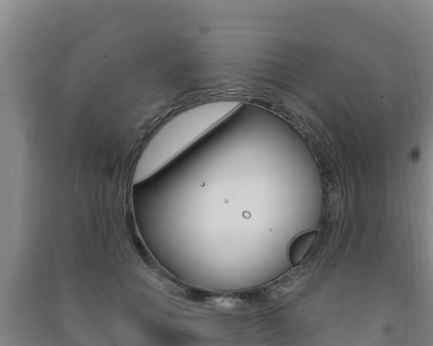 X0000091470654200708161129