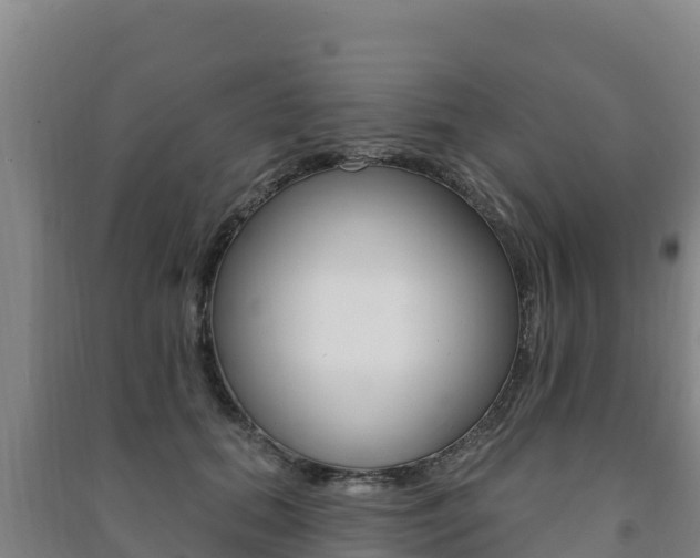 X0000091470655200708161129