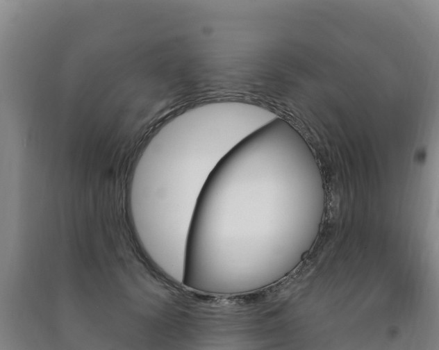 X0000091470656200708161129