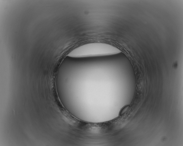 X0000091470658200708161129