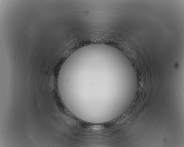 X0000091470659200708161129