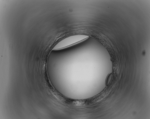 X0000091470660200708161129