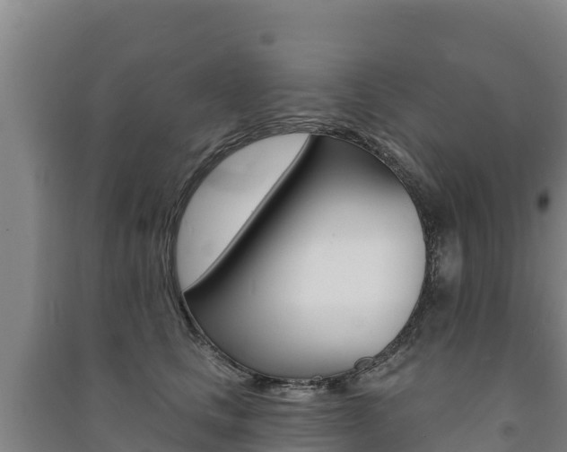 X0000091470661200708161129