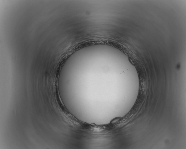 X0000091470662200708161129