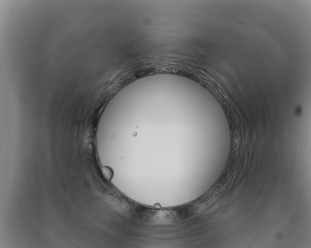 X0000091470663200708161129