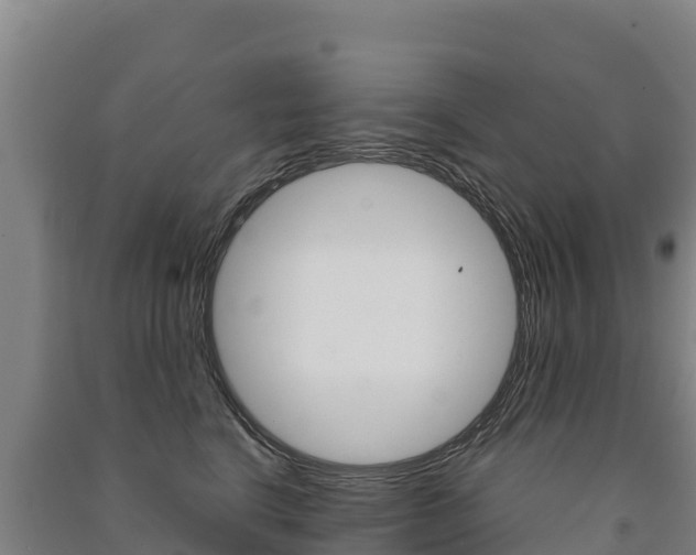 X0000091470664200708161129