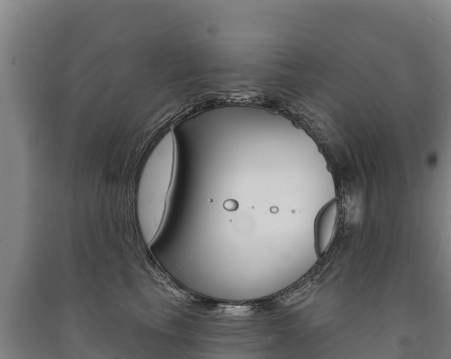 X0000091470665200708161129