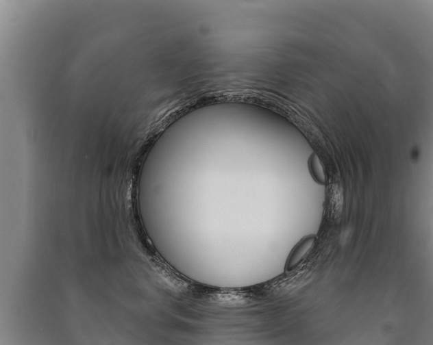 X0000091470668200708161129