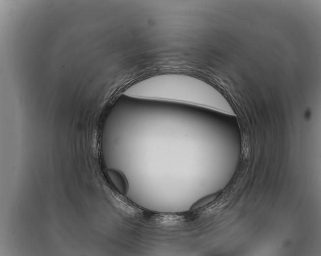 X0000091470670200708161129