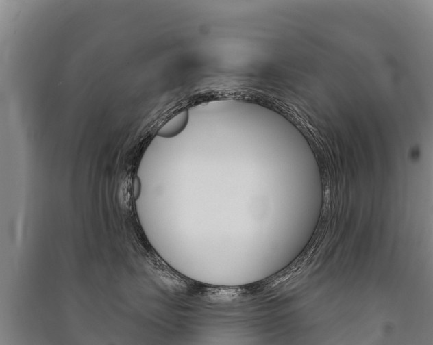 X0000091470671200708161129