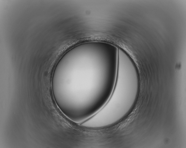 X0000091470673200708161128