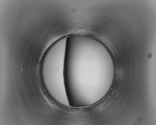 X0000091470674200708161128