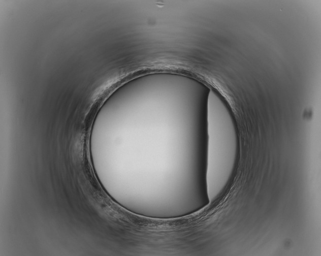 X0000091470675200708161128