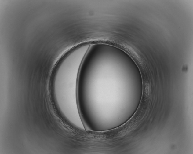 X0000091470676200708161128