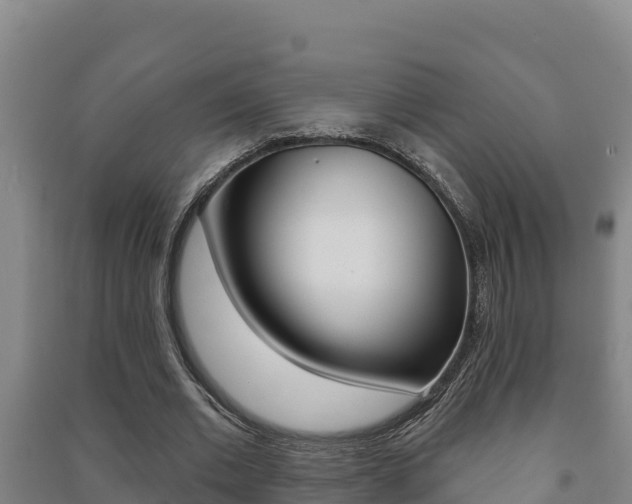 X0000091470677200708161128