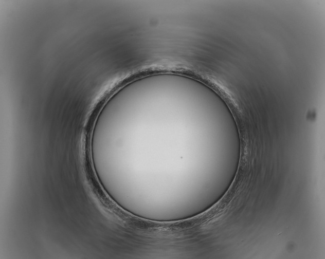 X0000091470678200708161128
