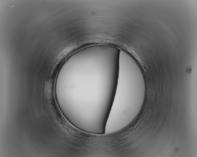 X0000091470679200708161128