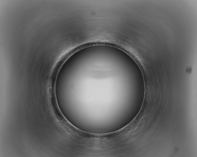 X0000091470680200708161128