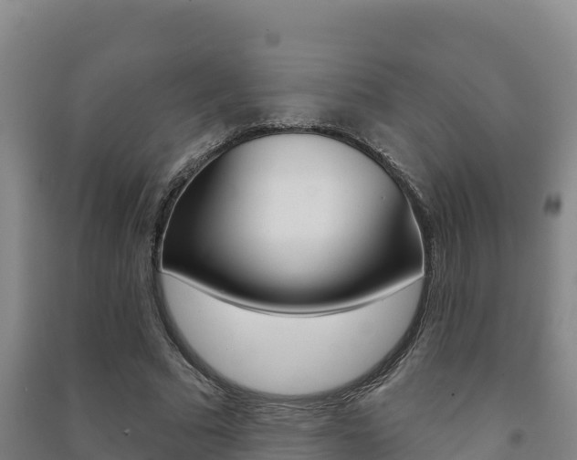 X0000091470681200708161128