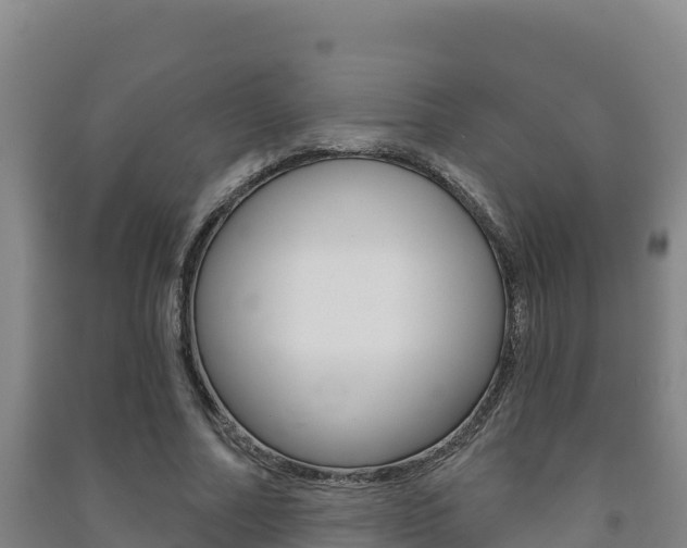 X0000091470682200708161128