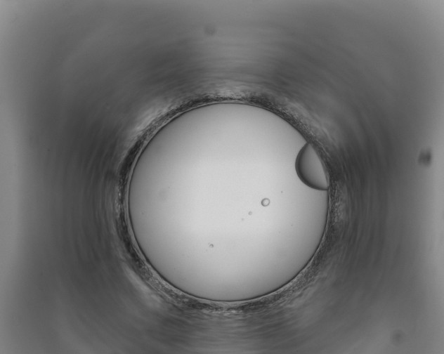 X0000091470683200708161128