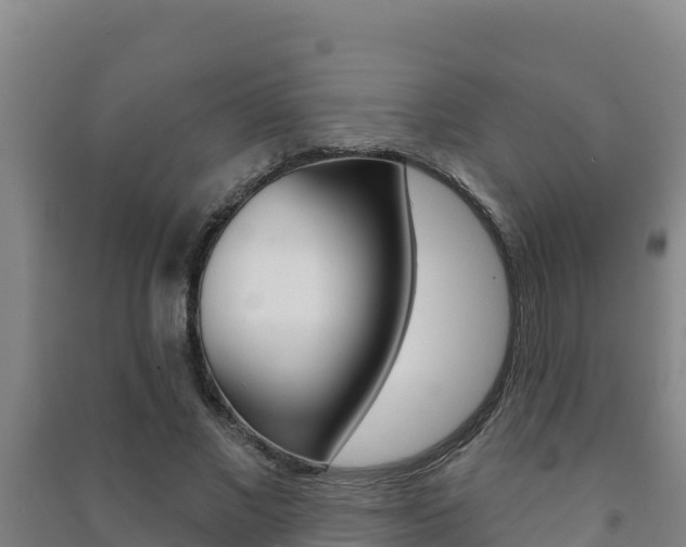 X0000091470685200708161128