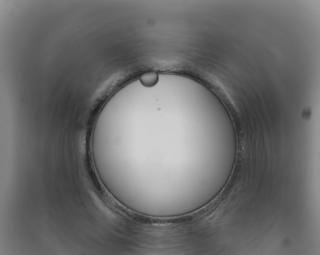 X0000091470686200708161128