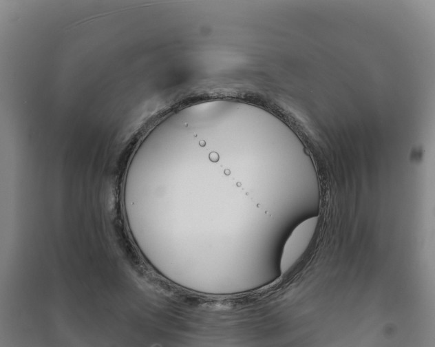 X0000091470687200708161128