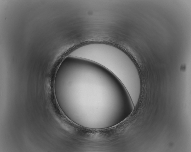 X0000091470688200708161128